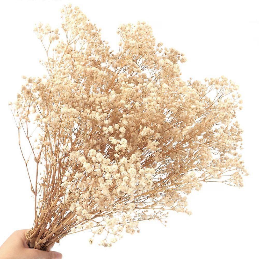 Natural Dried Gypsophila Flowers