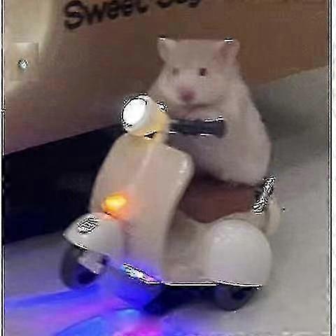 Hamster Motorcycle Toy Motorcycle Hamster Trainer