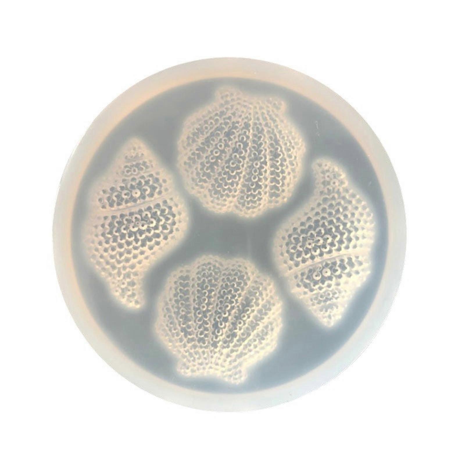 Conch Silicone Moulds Soap Molds DIY Baking Molds Shell Decoration Molds Epoxy Resin Molds Plasters Molds Craft Molds