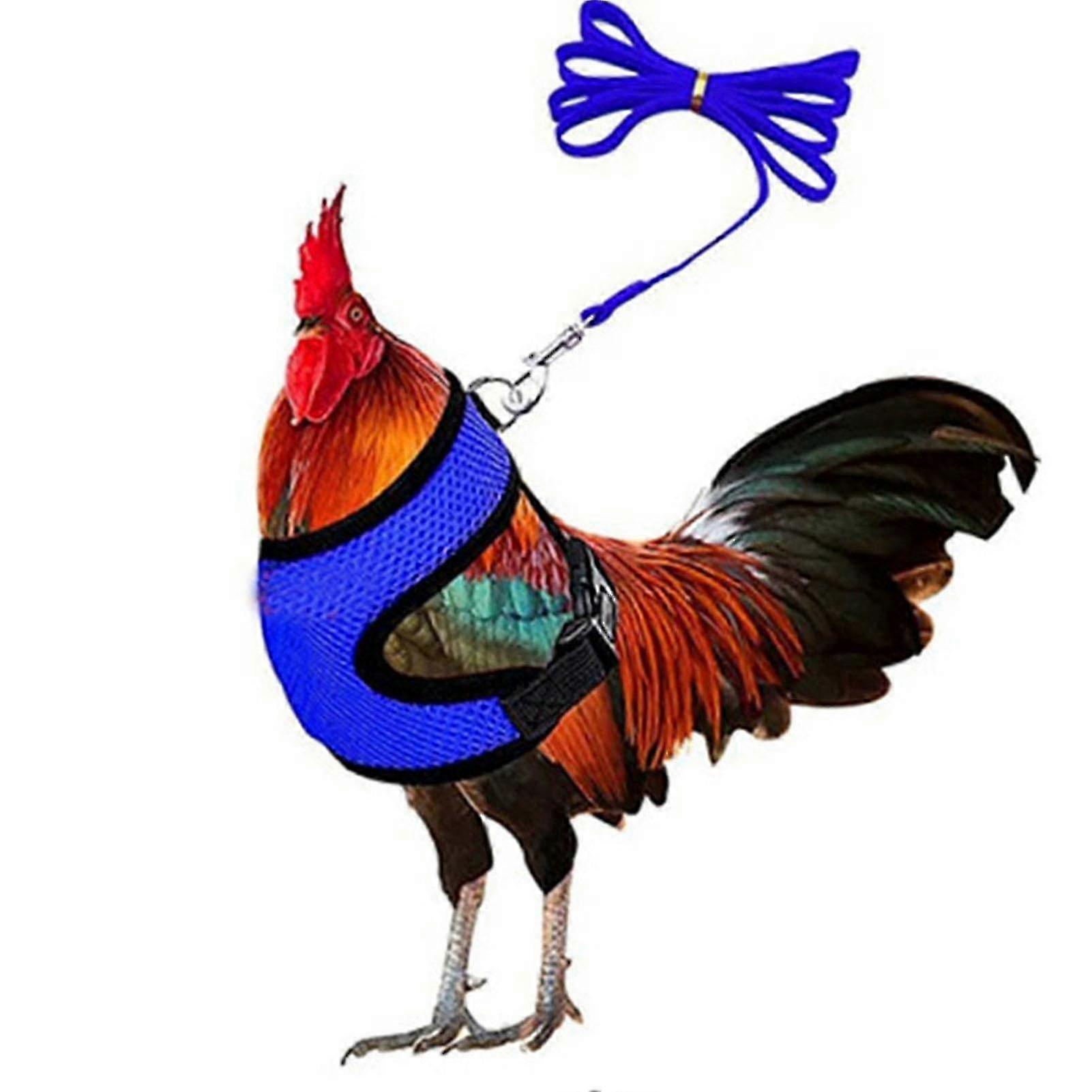Adjustable Chicken Harness With Leash- Comfortable Hen Vest Breathable Mesh zxin 2025