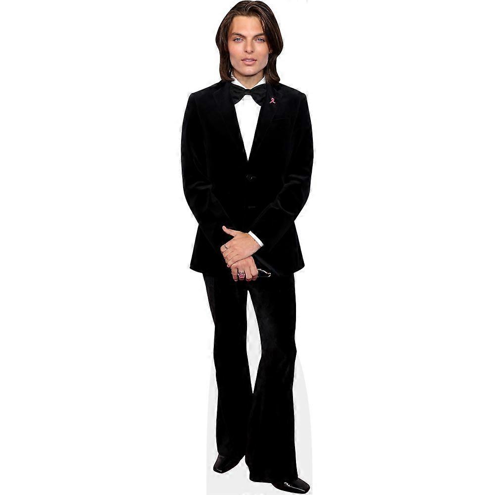 Damian Hurley (Bow Tie) Cardboard Cutout (lifesize OR mini size). Standee. Stand Up.