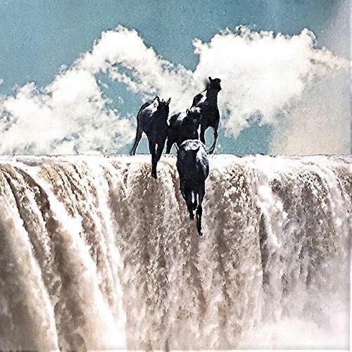 Lean Year - Lean Year  [VINYL LP] USA import