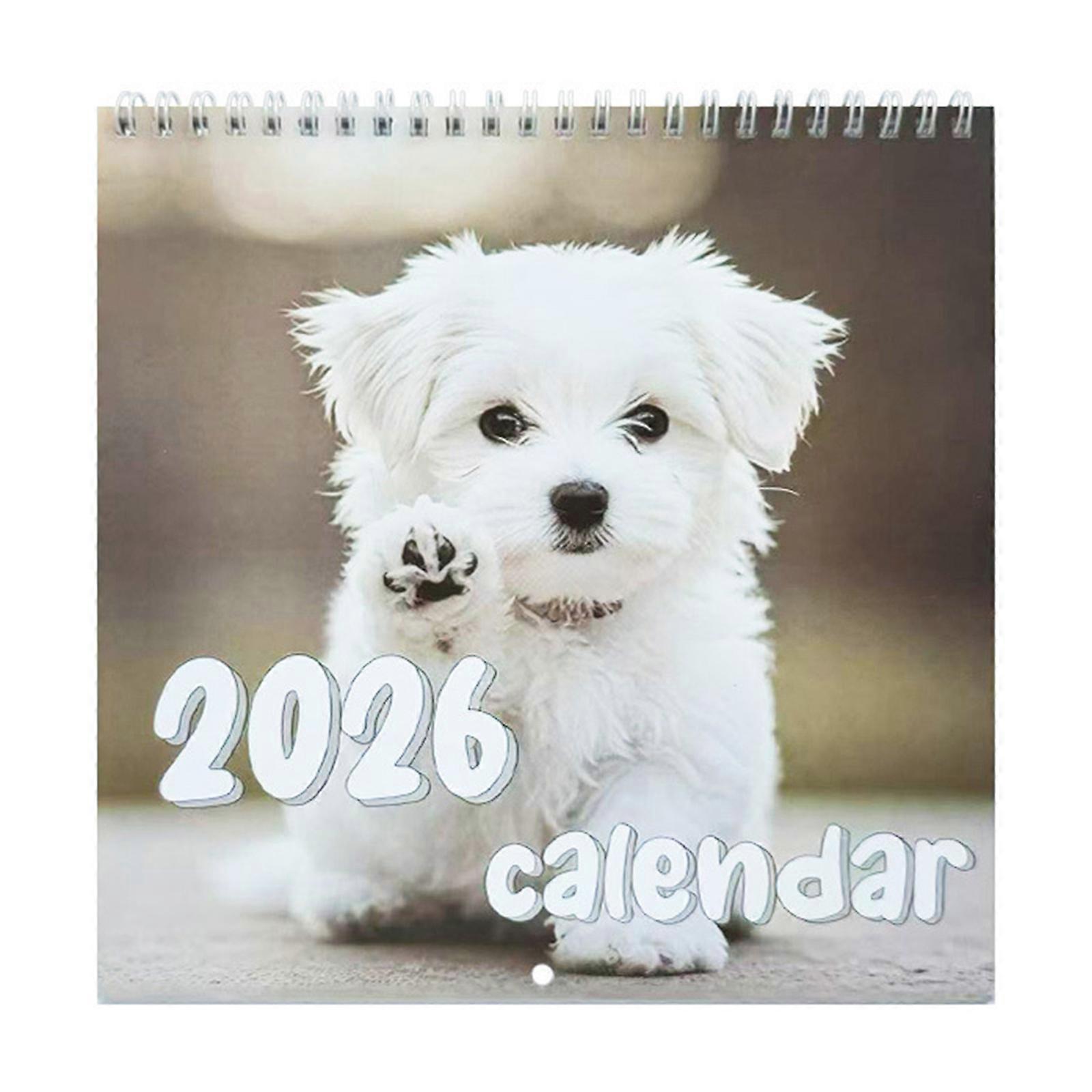 Easy To Read Dates Creative Illustration Calendar 2026 Art Wall Calendar with Thick Coated Paper Sheets Colorful Colors Multicolor
