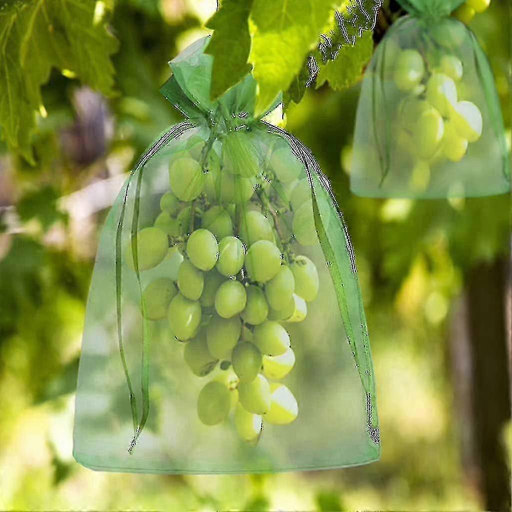 Fruit Tree Protection Bag, 30x20cm Organza Drawstring Mesh for Guarding Grapes from Pests, 100-Pack