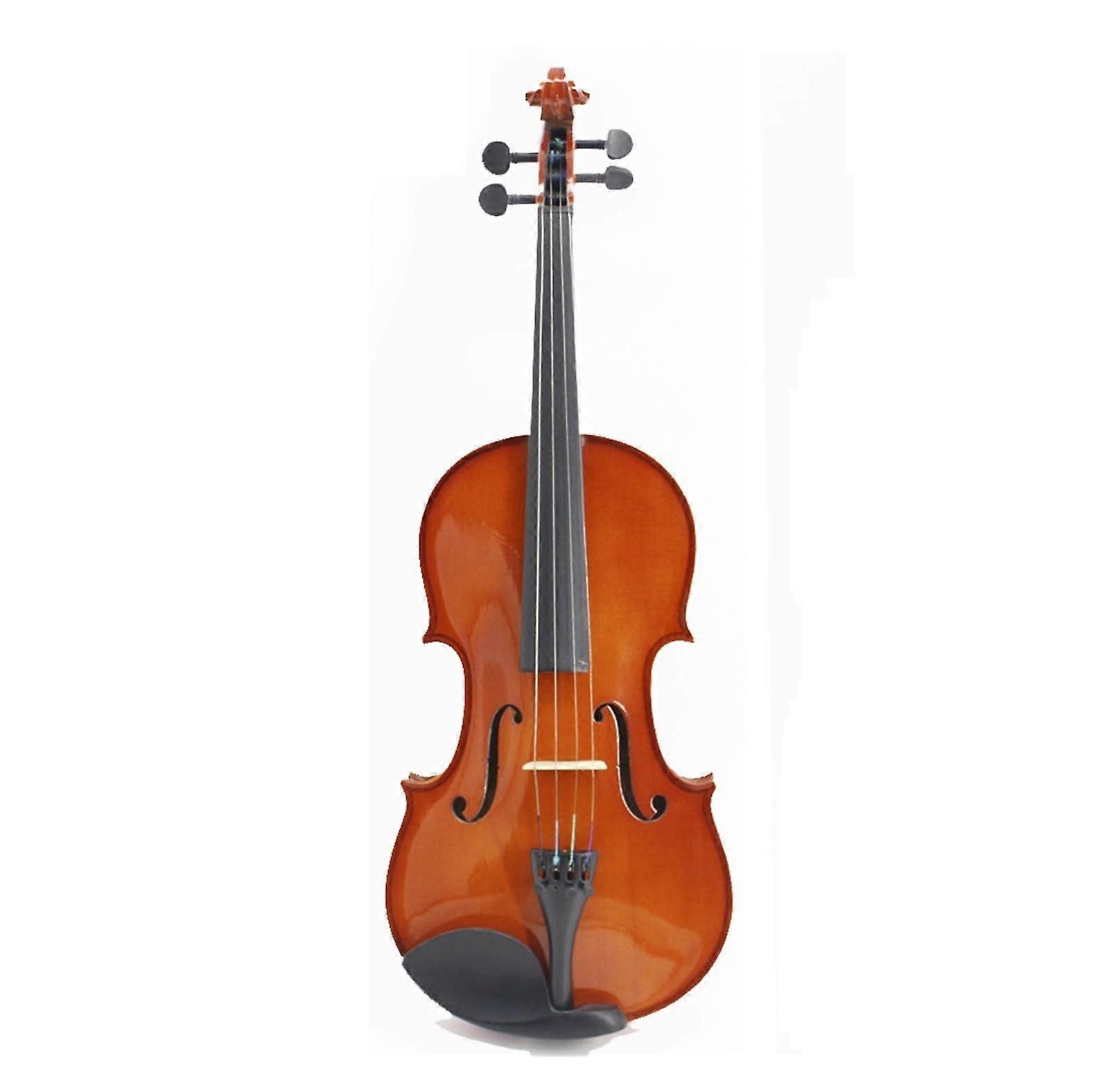 Beginner Violin Starter Kit 1/2 Size Student Violin with Case Bow Strings Warm Rounded Tone