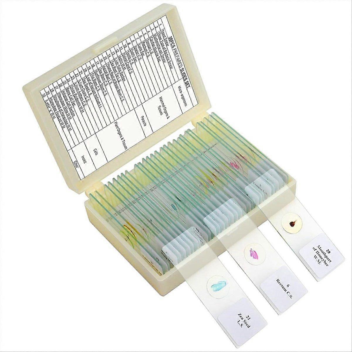 Children's Microscope Slides, Prep Slides for Microscope Accessories