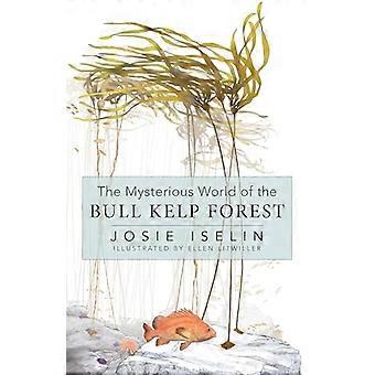 The Mysterious World of the Bull Kelp Forest