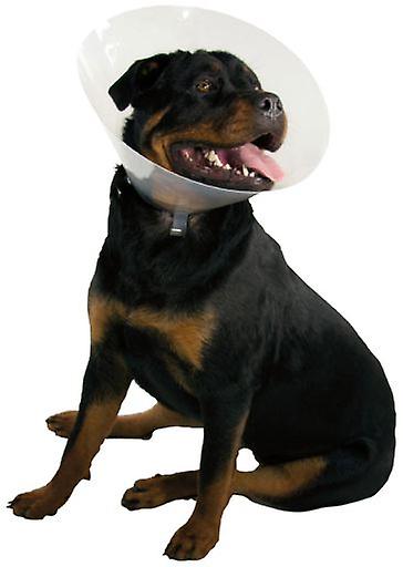 KVP Collar Isabelino de Plástico Kong Quick Fit