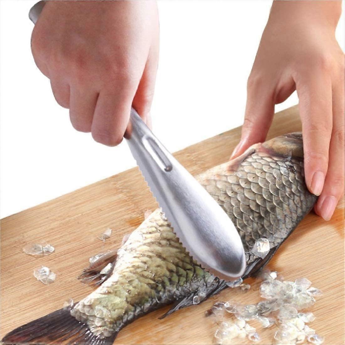 Fish Scale Brush   Remover