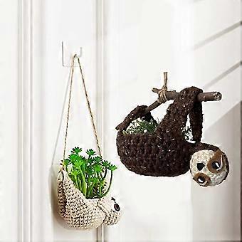 money tree indoor Money Tree Plant | Plant Gifts