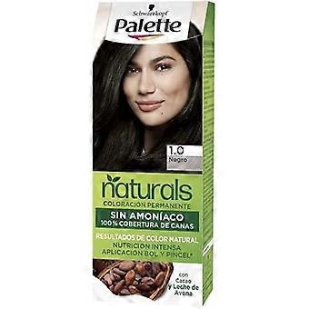Color Permanente - Paleta Nc 1 - Pincel Negro Es - Sin Amoníaco - Negro - Crema