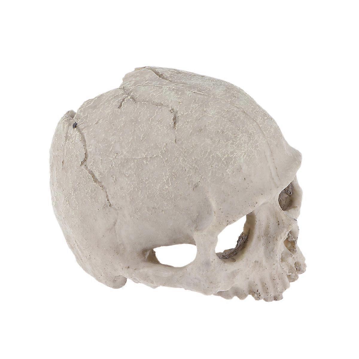 Fish Tank Landscaping Artificial Skull Decorative Props Aquarium Habitat Reptile Home Durable Design 1Pack