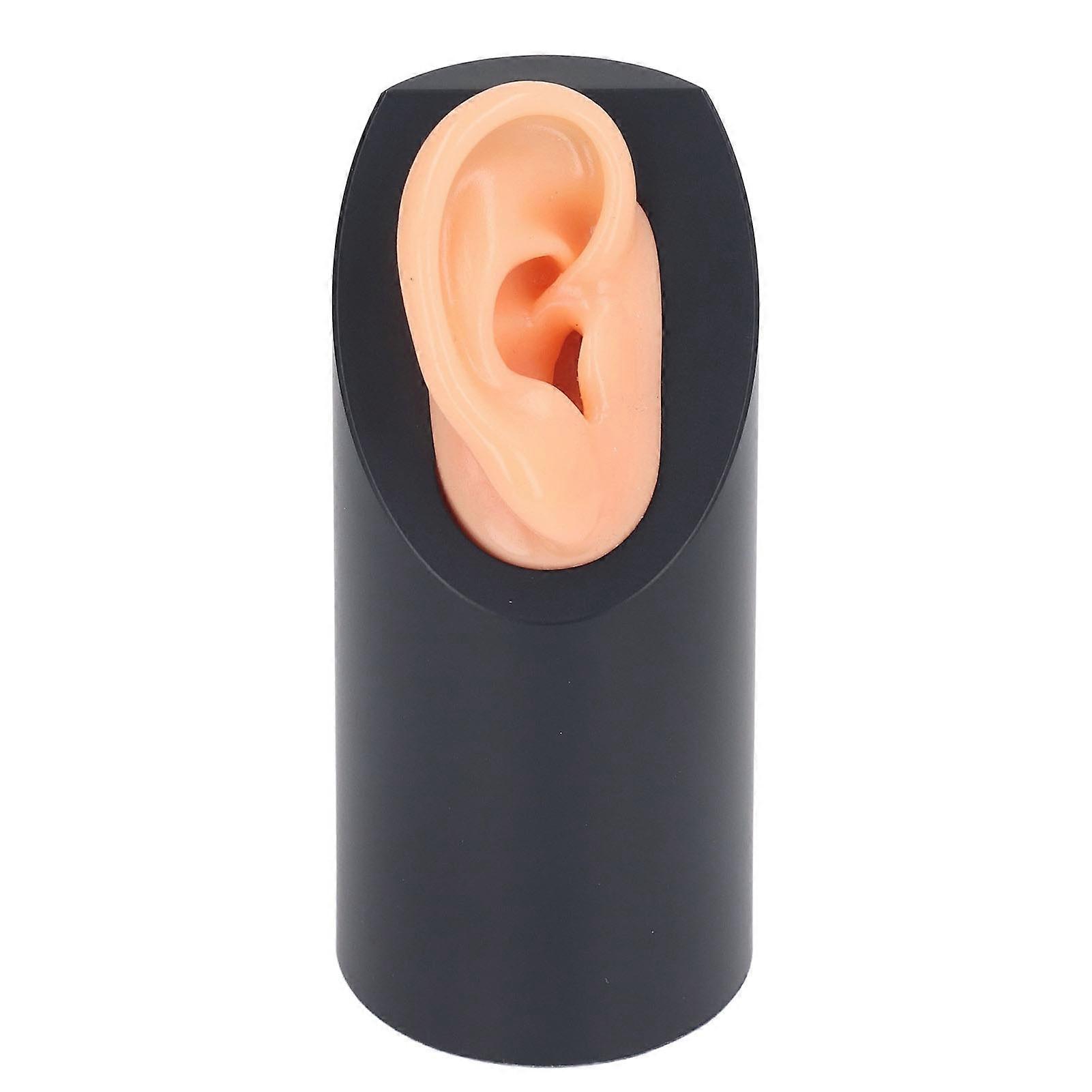 Silicone Ear Model Soft Simulation Hearing Tool Sound Aid Display M Fleshcolor with Black Cylinder Stand Right