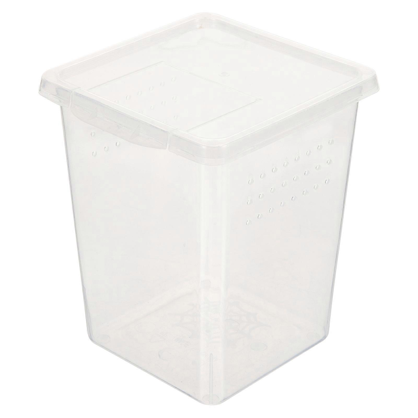 Transparent Reptile Feeding Box with Breathable Holes Durable Plastic Ideal for Small Pets 5.5 x 4.5 x 4.5 Inches