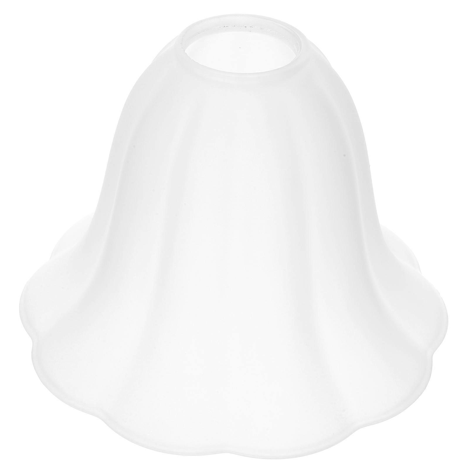 Table Light Shade Glass Lamp Shade for Home 2Pcs Transparent