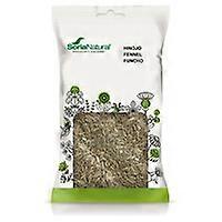 Fennel seeds 100 g