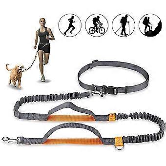 Hands Free Dog Leash, Adjustable Elastic Jogging Leash