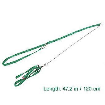 1.2M Adjustable Reptile Lizard Harness Leash for Outdoor Walk (Green)