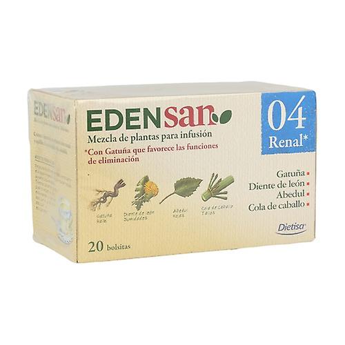 Edensan 04 Renal 20 infusion bags