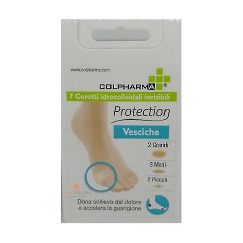 Protection Assorted Blister Plasters 2 units