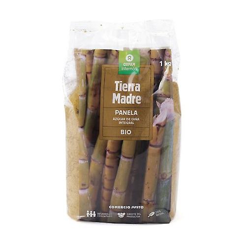 Bio fine grain panela 1 kg