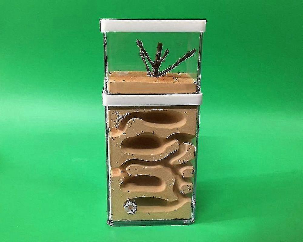 Natural Ecological Nest Insect Castle Workshop Farm Anthill Plaster