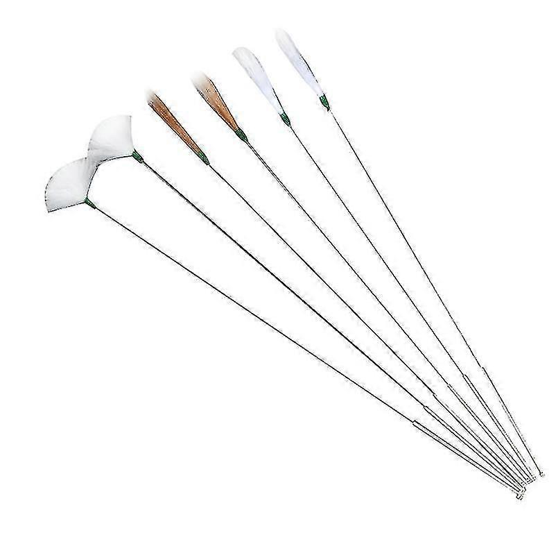 Ear Wax Removal Kits Goose Feather Earpick Set Ear Cleaner