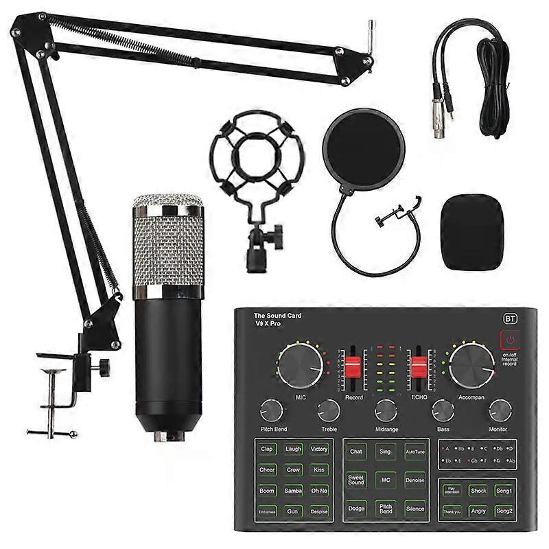 Professional tuning studio sound card - Black Silver microphone live sound card set