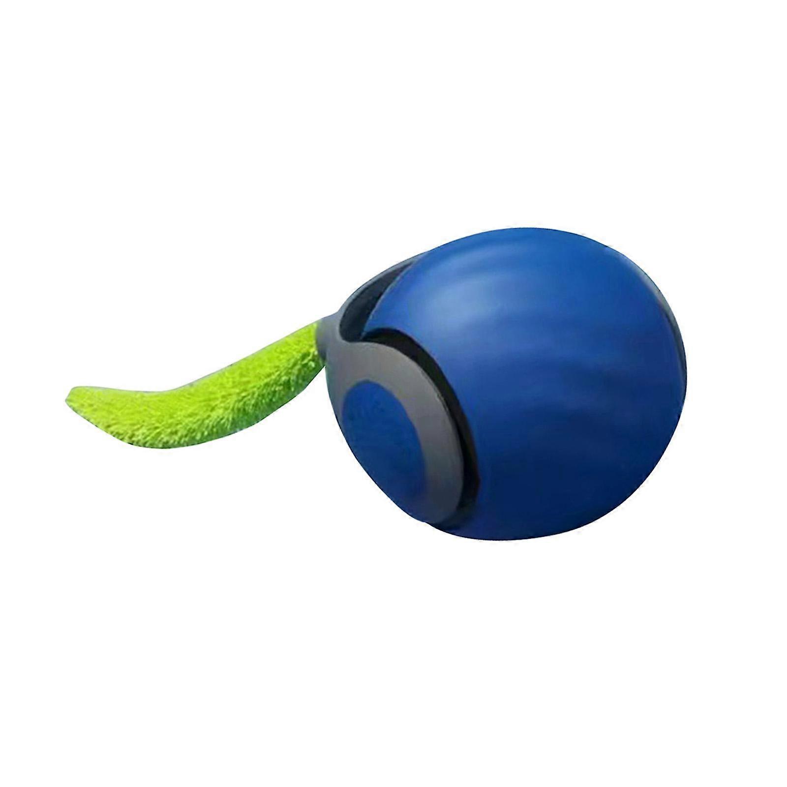 Interactive Cat Toy Ball Portable Cat Rolling Ball Toy for Play Kitten Chase blue