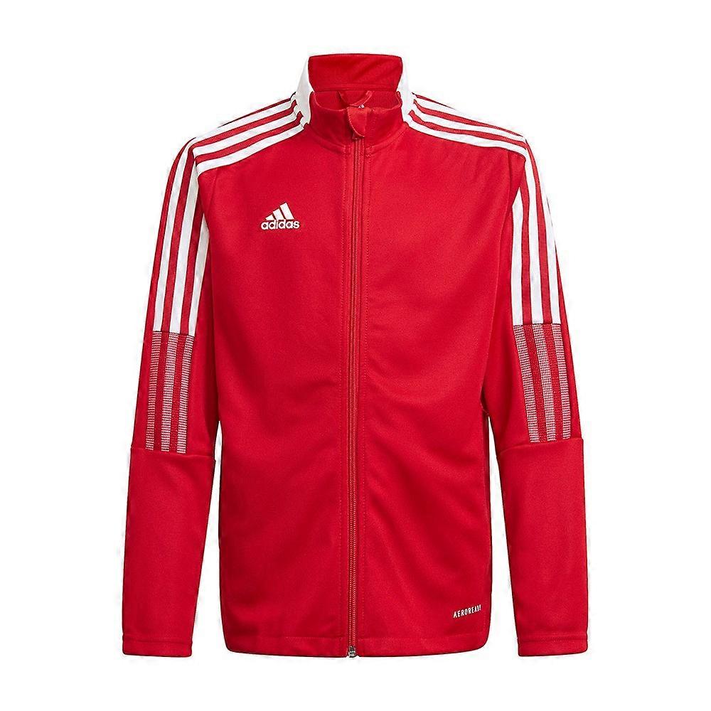 Adidas Tiro 21 Track GM7312 football all year boy