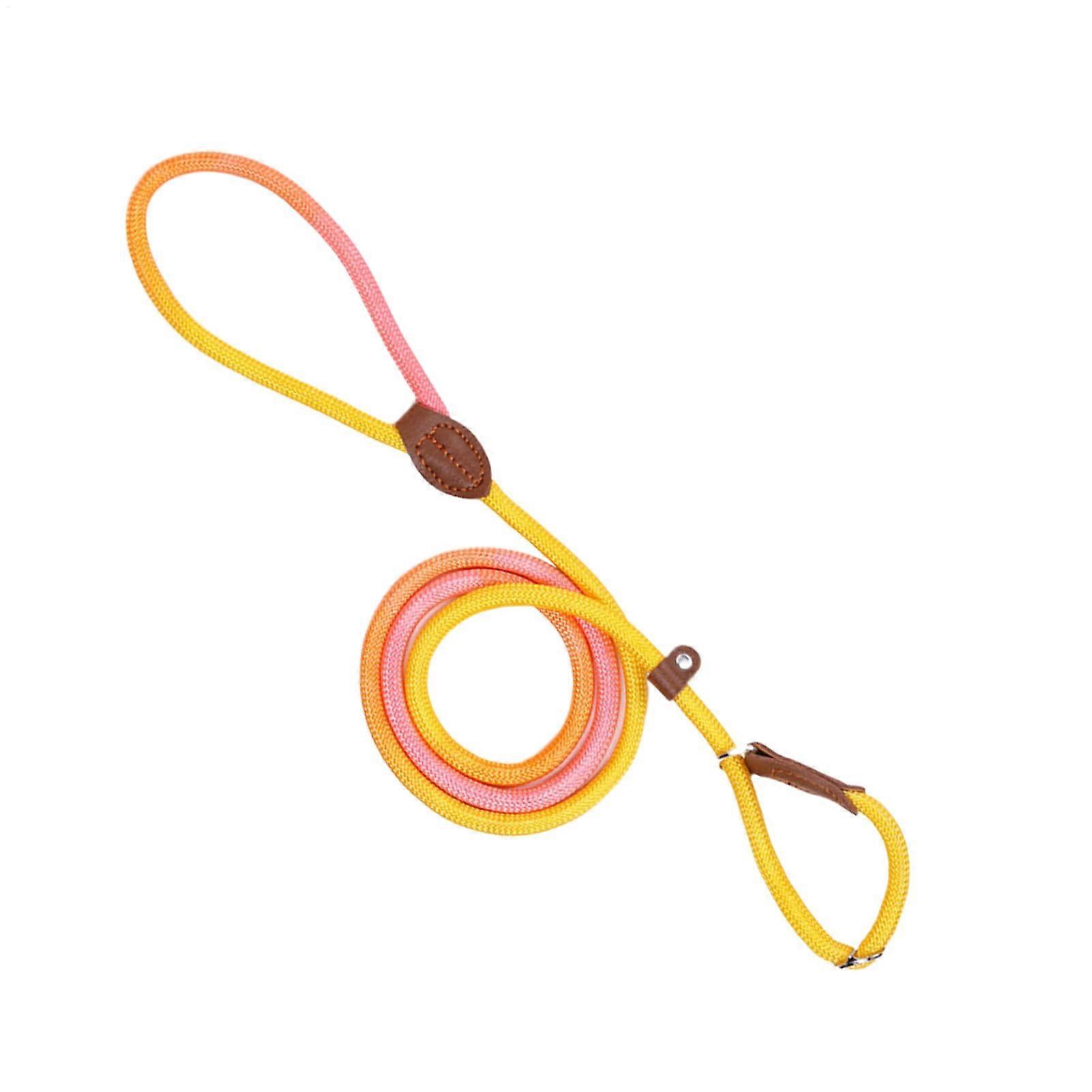 Dog Harness for Outdoor Use, Nylon No-Pull Leash for Small to Medium Breeds, Adjustable Size, Orange M