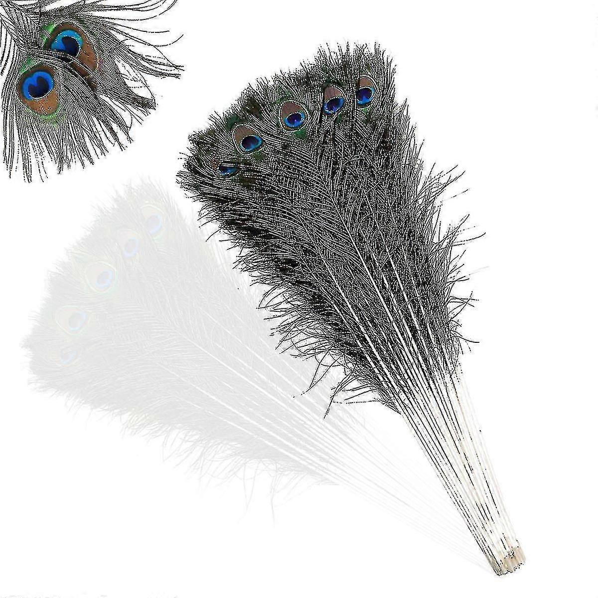 Natural Large Peacock Feathers For Decoration