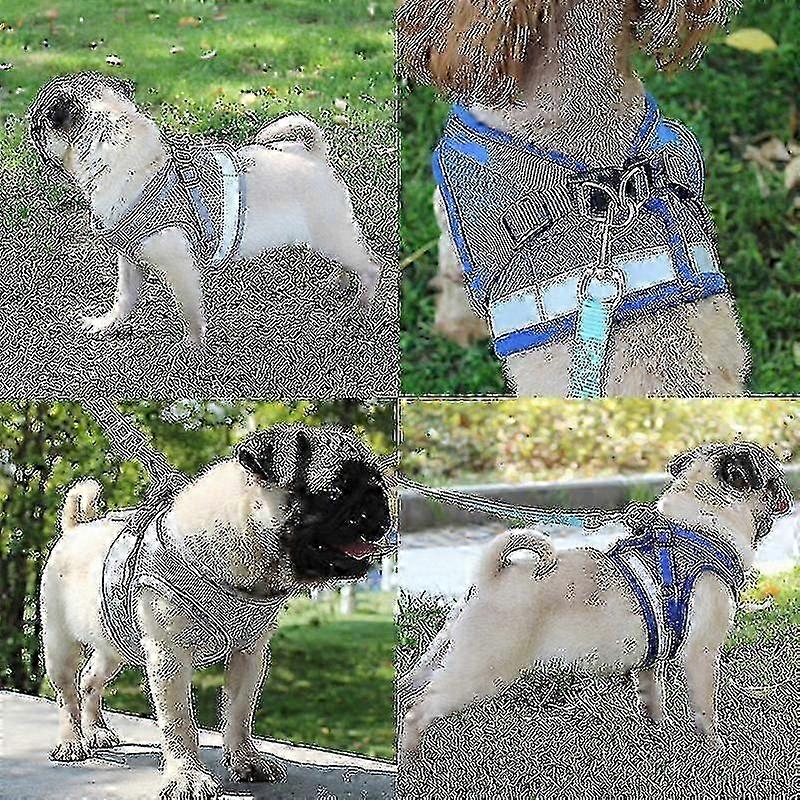 Cat Harness, Cat Harness Escape Proof, Pet Harness