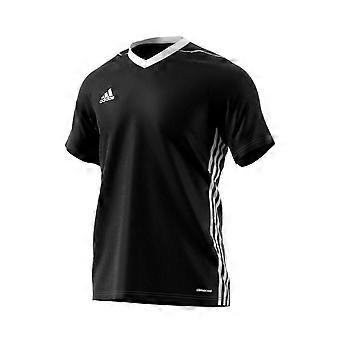 Adidas Tiro 17 BK5437 trening hele året menn