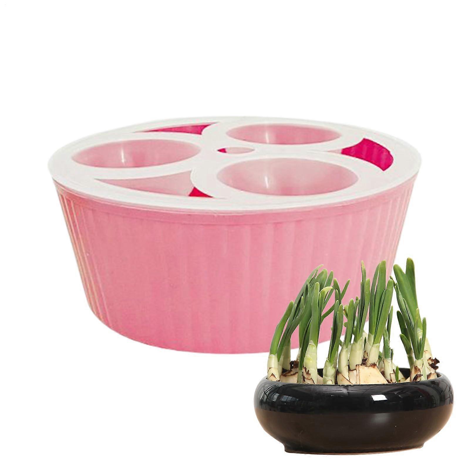 Indoor Hydroponic Planter with Visual Water Gauge, ThreeHole Bulb Layout, Durable PP, Pink