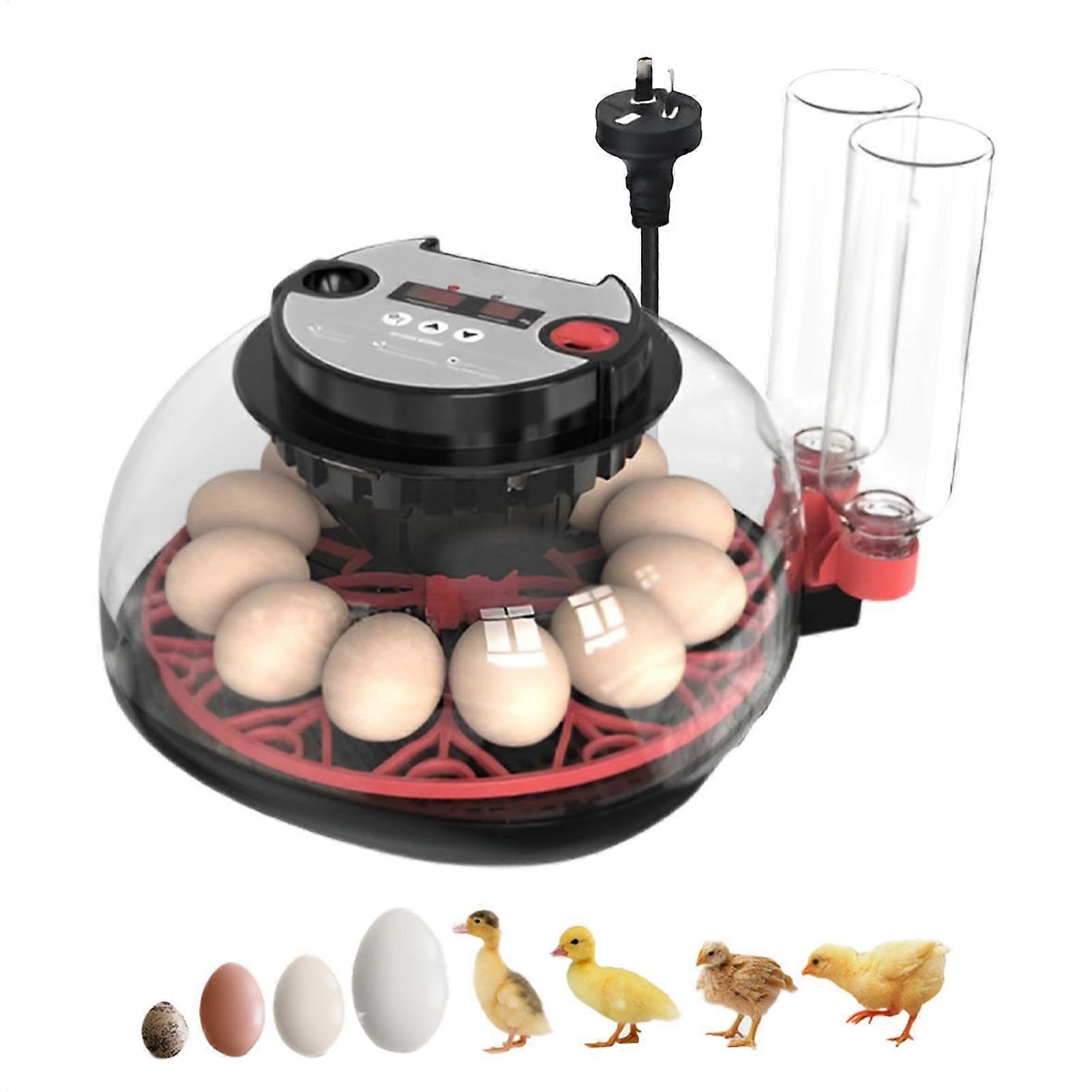 12 Egg Automatic Egg Incubator with Turner, Smart Temperature Control, Auto Humidity, LED Candler