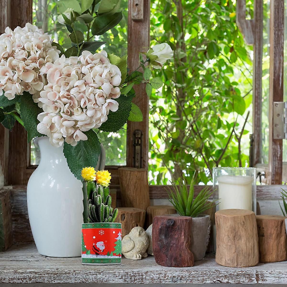 Christmas Pattern Ceramic Bonsai Flower Pot for Planting