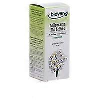 Achillea Millefolium (Yarrow) 50 ml