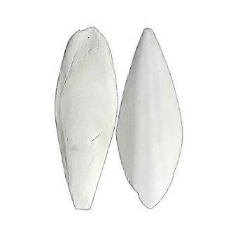 20PCS Natural Cuttlefish Bone 3.94-Inch Calcium Source compatible Pets, Birds, and Reptiles
