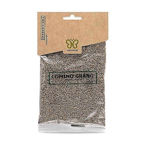 cumin grain 100 g