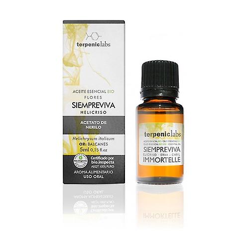 Helichrysum Italicum Essential Oil 5 ml of essential oil