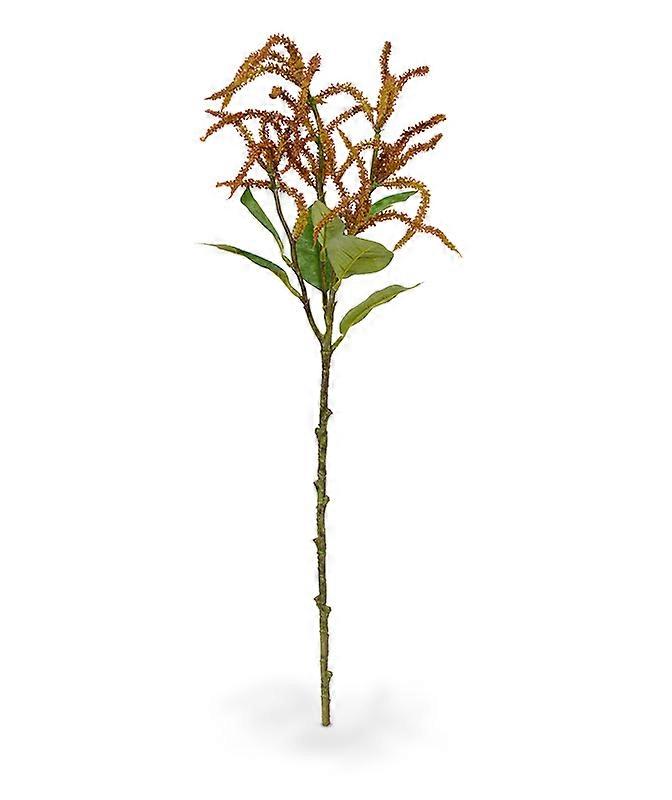Amaranthus-haara (55 cm)