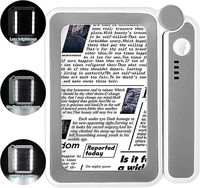 Lighted Magnifier - 4X Handheld LED Rectangular Magnifier with Dimmable Light, Gift for Elderly, People with Poor Vision to Read Books, Maps and Smal