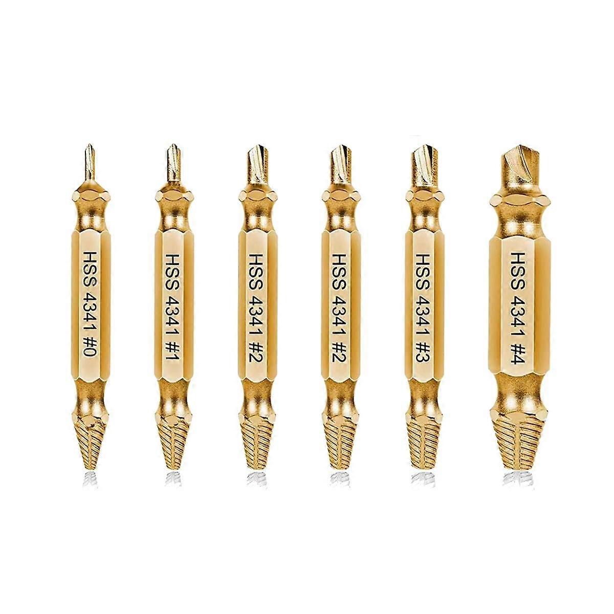 6PCS Damaged Screw Kit,Stripped Screw Set for Easily and Quickly Remover Common Sizes Of Broken Too