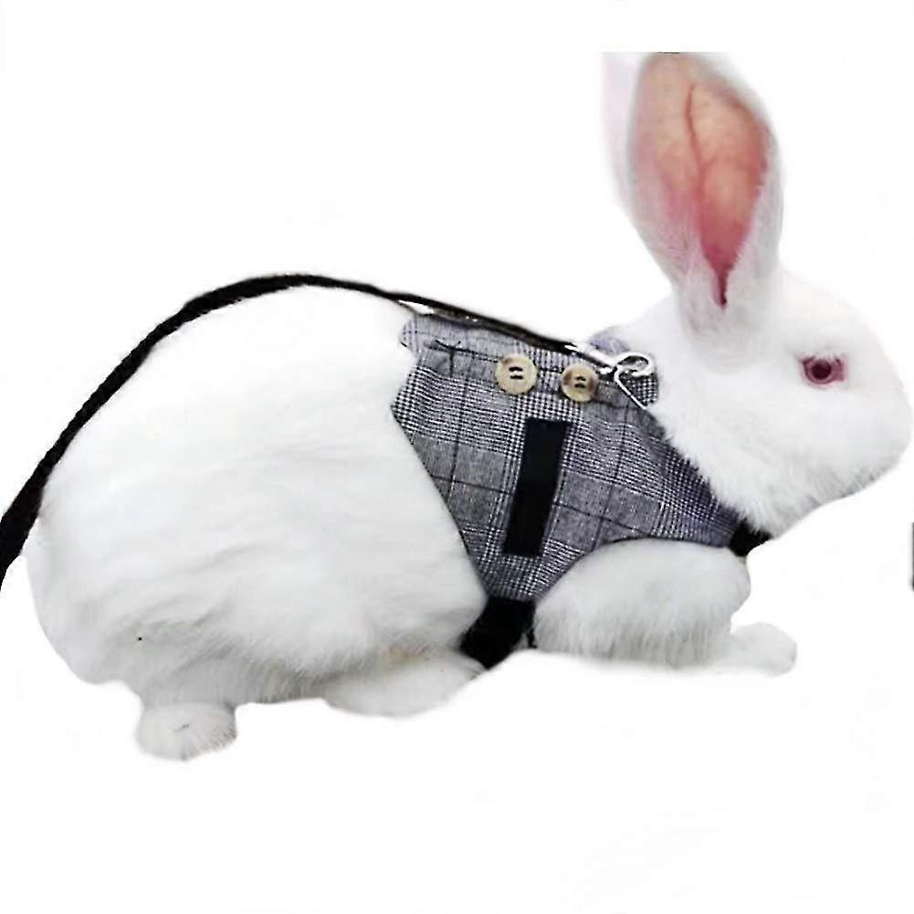 Rabbit Vest Harness Adjustable With Button