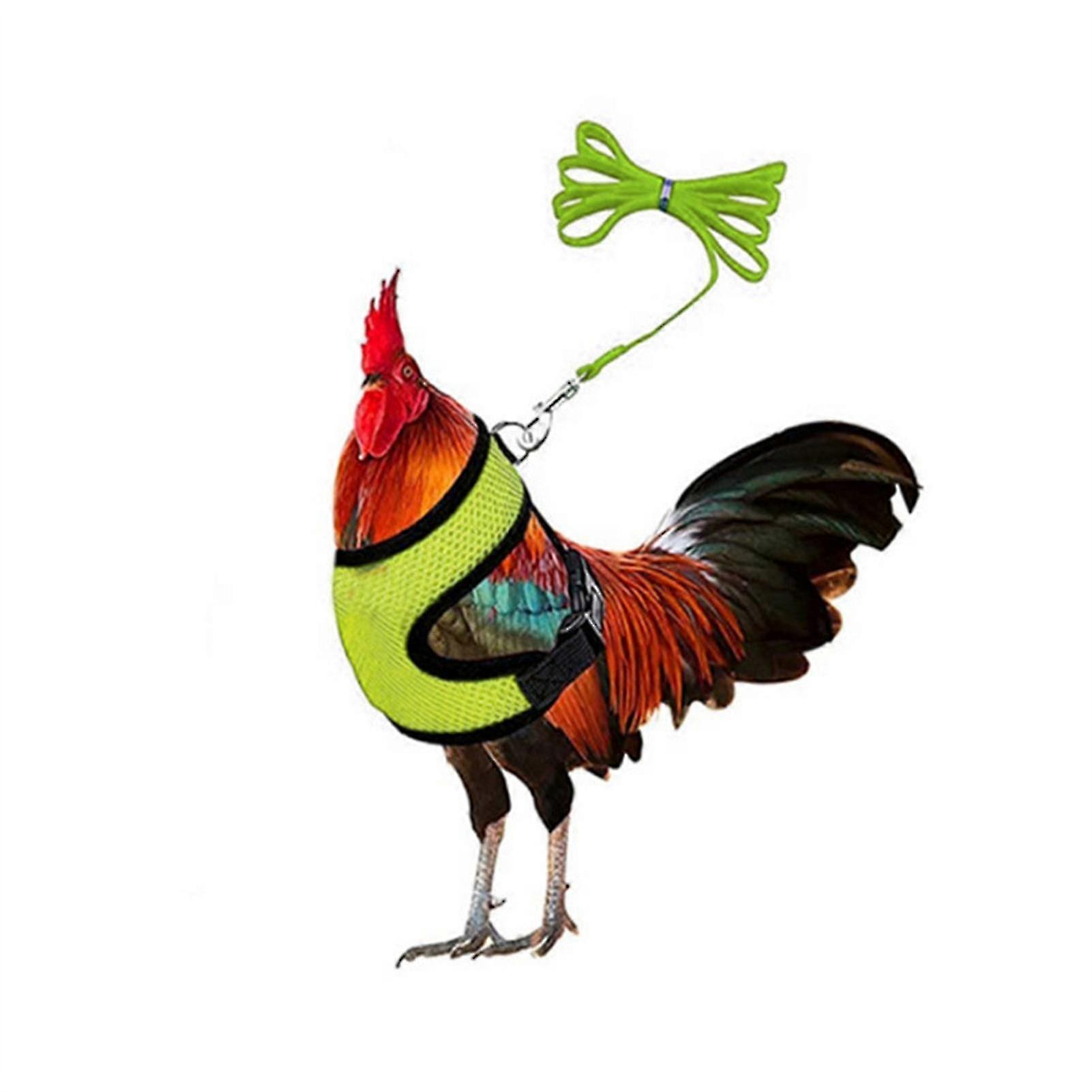 1 Set Chicken Harness With Leash Breathable Adjustable Chicken Duck Poultry Vest For Backyard