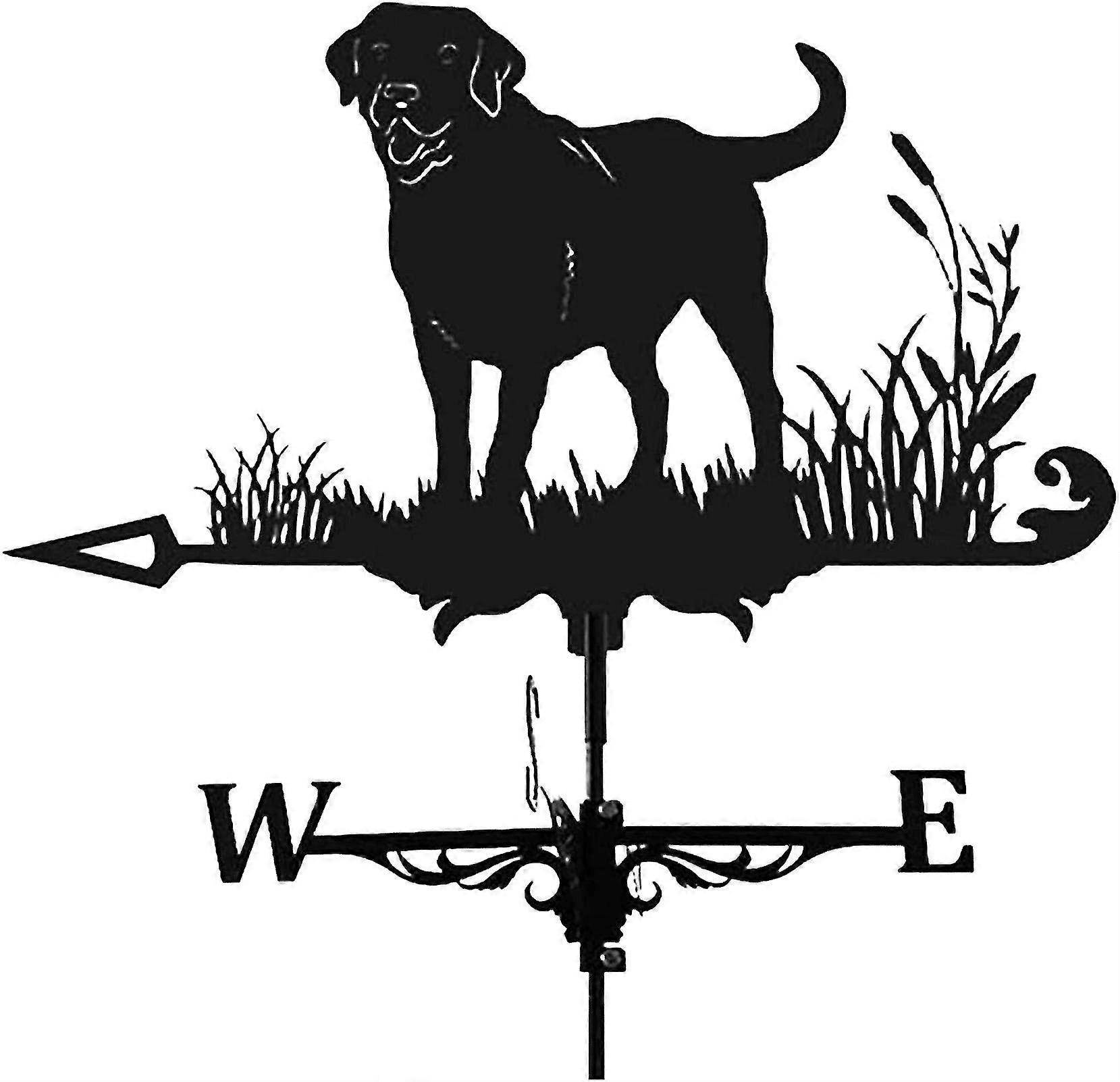 Weather Vane Metal Weathervane Figurine, Practical Wind Direction Indicator, Measuring Tools Farm