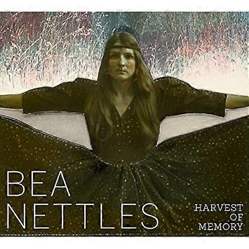 Bea Nettles: Cosecha de la memoria