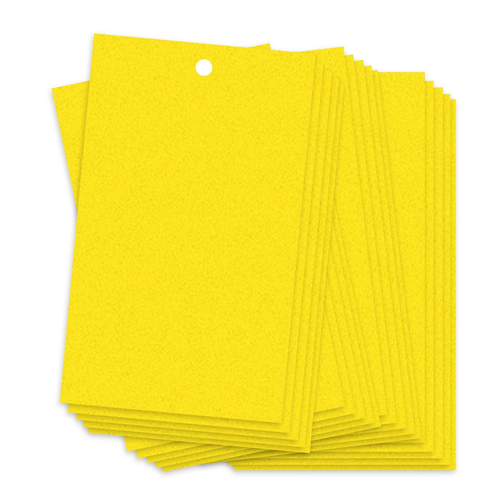 Pièges collants pour insectes volants, moucherons, champignons, 20 pièces, 20 x 10 cm, pièges à insectes volants double face, peuvent être coupés