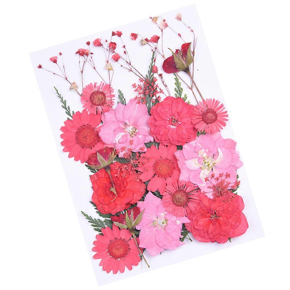 Preserved Flower Holiday Functions Handmade Accessories Family Friends 1Set